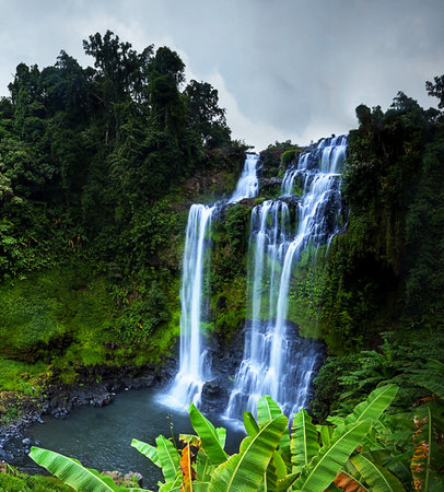 Tropical waterfall in rain forest, Bali island, Indonesiaの写真素材