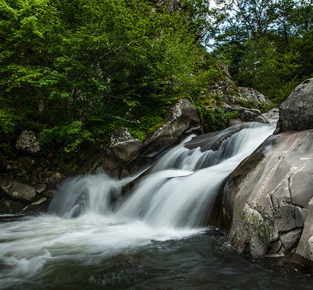 Waterfall in the forest. Mountain stream in the forest. Waterfall in the forest.の写真素材