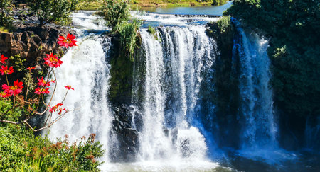 Krka National Park is a national park located in Croatia.の写真素材