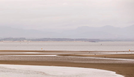 view of the beach at low tide on a cloudy day in winterの写真素材