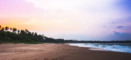 Tropical beach in Sri Lanka at sunset. Panoramic viewの写真素材