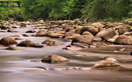 River flowing through the woods with rocks and trees in the background.の写真素材