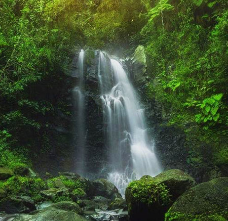 Beautiful waterfall in the rainforest at Bali island, Indonesia