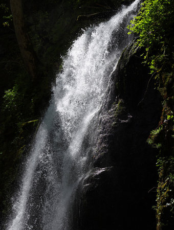 Waterfall in the forest of Madeira Island, Portugal. Long exposureの写真素材