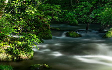 Waterfall in deep forest at summer time. Green leaves on rocks.の写真素材