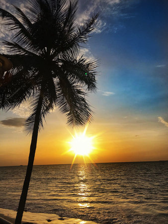 Beautiful sunset over the sea with palm trees in the foreground.