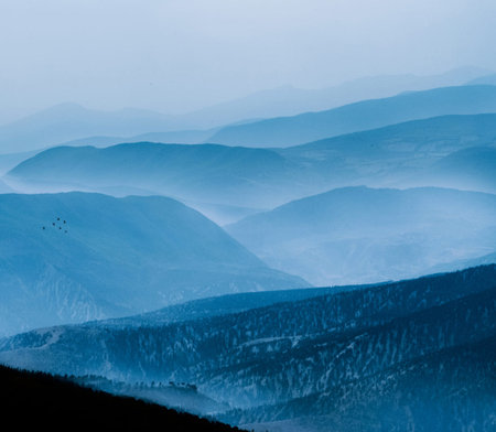 Mountain landscape with fog in the morning. Carpathians, Ukraineの写真素材