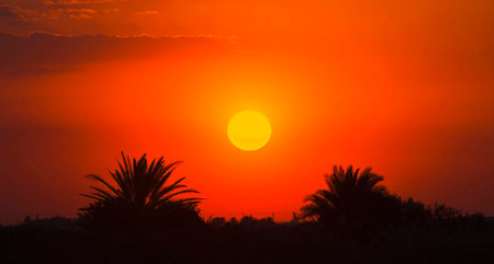 Sunset in the desert of Eilat, Israel. Shallow DOF