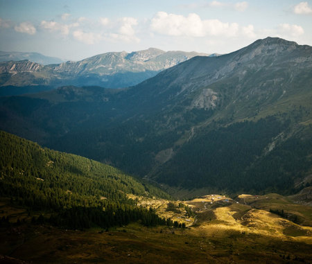 Mountain landscape with coniferous forest. Ukraine, Carpathians