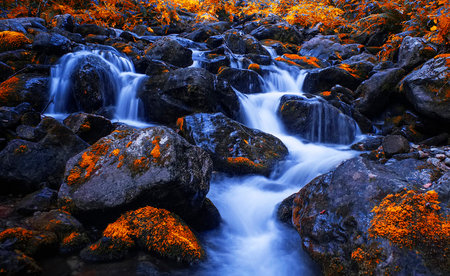 Waterfall in the autumn forest with orange and yellow leaves on the rocksの写真素材