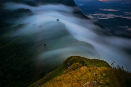 Mountain landscape with fog at Doi Pha Tang, Chiang Rai, Thailandの写真素材
