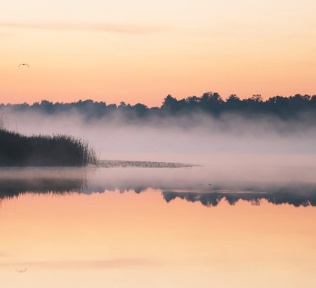 Misty morning on the lake. Colorful autumn landscape with fog.