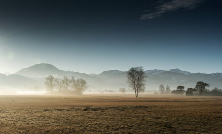 Foggy morning in the countryside with trees and mountains in the background