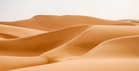 the empty quarter  and outdoor  sand  dune in oman old desert rub al khali