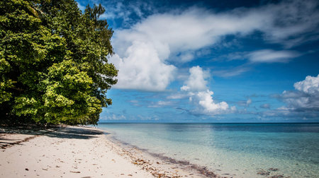 Tropical beach at Seychelles, Mahe island