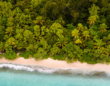 Aerial view of beautiful tropical beach with palm trees and turquoise seaの写真素材