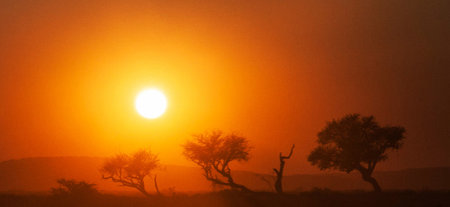 Sunset in the savannah of Namibia