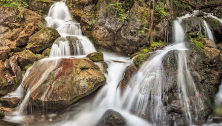 Waterfall in the forest. Beautiful waterfall in the Carpathian mountains.