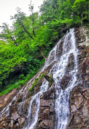 Beautiful waterfall in the forest on the mountain with green trees.