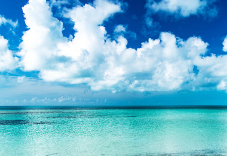 tropical beach with few palm trees and blue lagoonの写真素材