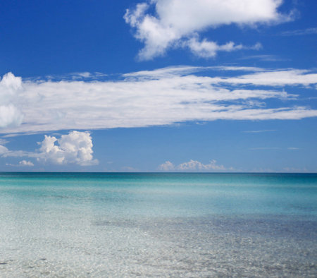 Beautiful beach at the caribbean coastの写真素材
