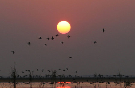 Sunset in the Okavango Delta, Botswana, Africa