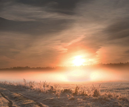 Foggy sunrise over a field with grass and trees covered with hoarfrostの写真素材