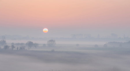 Sunrise over a misty meadow in the Netherlands in winterの写真素材
