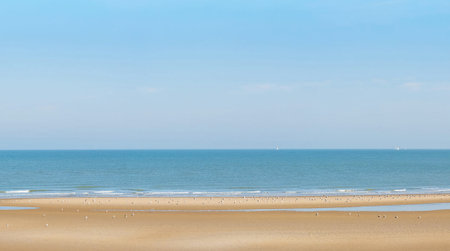 Beach and sea with blue sky background. Copy space for text.の写真素材
