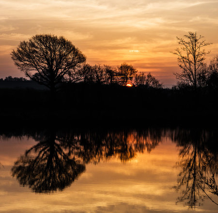 sunset over the lake with silhouette of trees and reflection in waterの写真素材