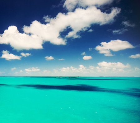 tropical beach with few palm trees and blue lagoonの写真素材