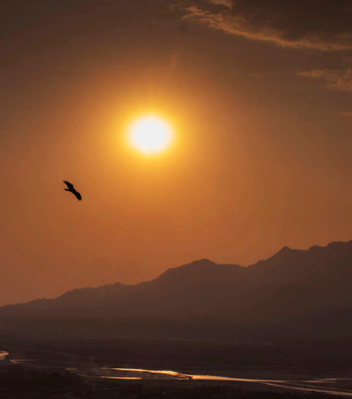 Beautiful sunset over the lake with mountains in the background and a bird flying