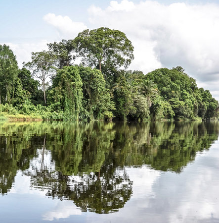 Landscape of river and forest with reflection on the water surface.の写真素材