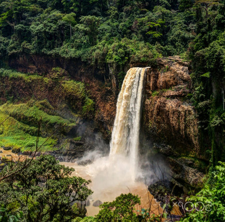 Beautiful waterfall in the jungle of Sri Lanka.の写真素材