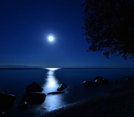 Full moon over the sea at night with rocks and trees on the shoreの写真素材