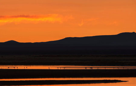Sunset in the Salt Flats, Atacama Desert, Chileの写真素材