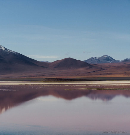 Beautiful view of the Laguna Colorada in the Altiplanoの写真素材