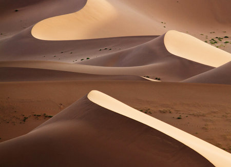 Sand dunes in the Sahara desert, Merzouga, Morocco
