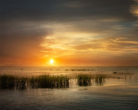 Beautiful sunset over the sea with reeds in the foreground.の写真素材