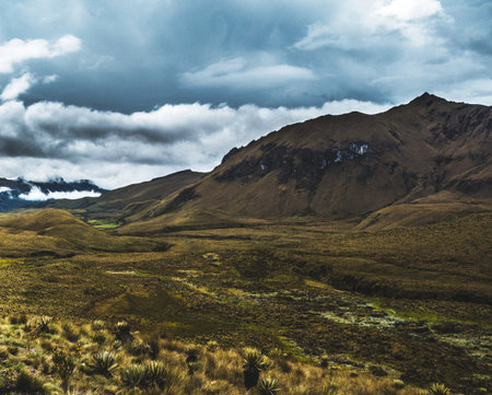 Natural landscape of alps and meadows under cloudy skyの写真素材