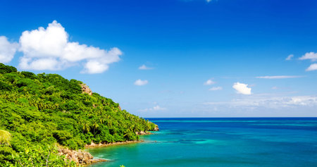 Beautiful tropical beach on Seychelles, Praslinの写真素材