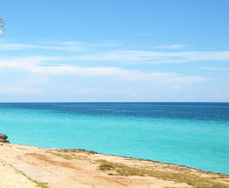 Tropical beach with turquoise ocean water and blue skyの写真素材
