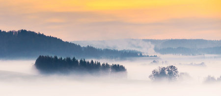 Panoramic view of the misty morning in the forest.の写真素材