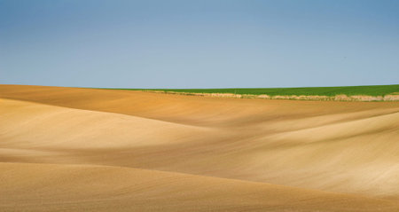 plowed field and blue sky in the countryside of morocco