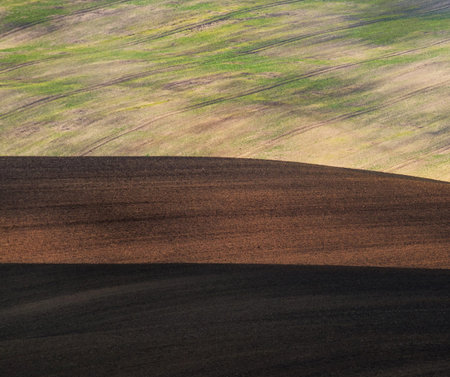 Plowed and sown fields in the spring, Czech Republic.