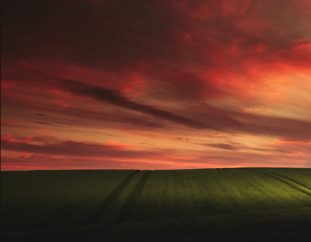 Beautiful sunset over a field of green grass and a red skyの写真素材