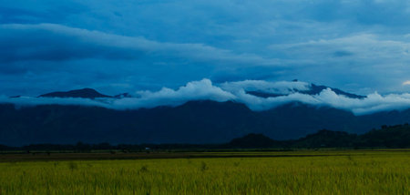 Clouds in the sky over a paddy field with mountains in the backgroundの写真素材