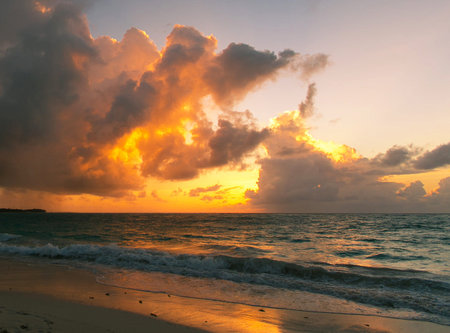 Sunset on the beach of the Caribbean island of Barbados.の写真素材