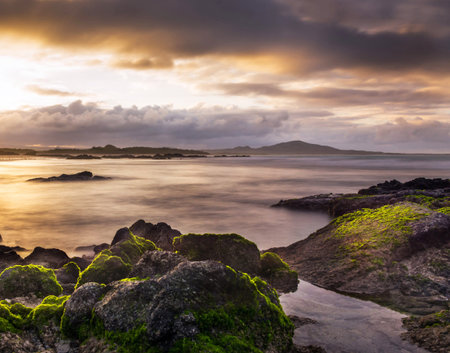 Sunset over the sea with green moss on the rocks in the foreground