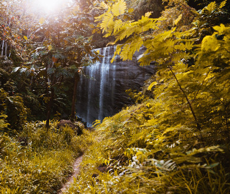 Beautiful waterfall in the forest at autumn season. Nature background.の写真素材
